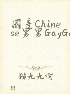 国产Chinese男男GayGayAPP