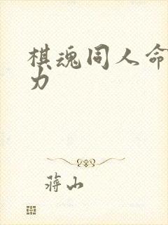 棋魂同人命运之力