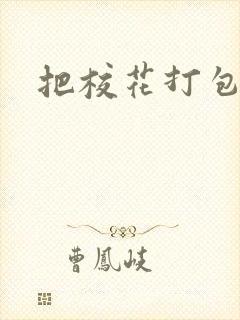 把校花打包带走