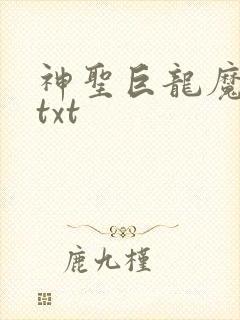 神圣巨龙魔法师txt