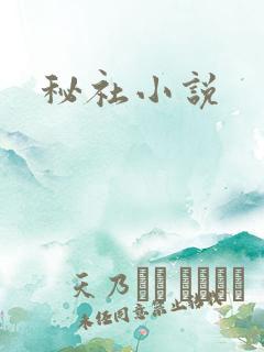 秘社小说