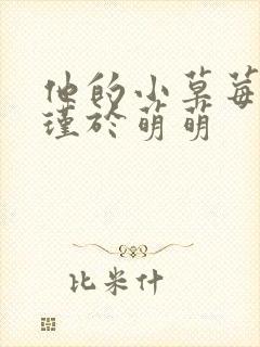 他的小草莓沈修瑾于萌萌