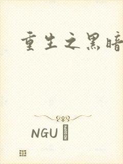 重生之黑暗巅峰