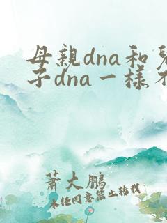 母亲dna和儿子dna一样不