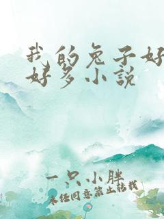 我的兔子好软水好多小说