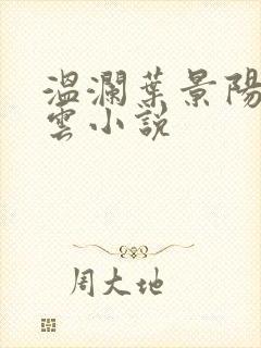 温澜叶景阳温云云小说