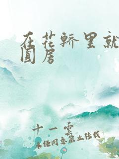 在花轿里就开始圆房