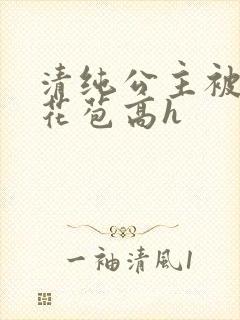 清纯公主被迫开花苞高h