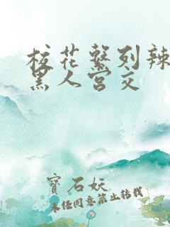 校花系列辣h文黑人宫交