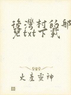 后湾村的那些事儿txt下载