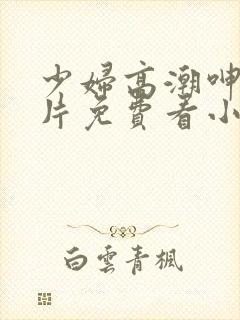 少妇高潮呻吟A片免费看小说