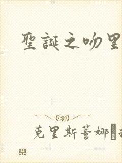 圣诞之吻里沙篇