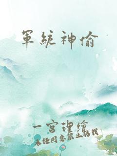 军统神偷