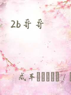 2b哥哥