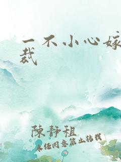 一不小心嫁给总裁