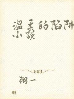 温柔的陷阱周芸小说