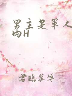 男主是军人的肉肉H