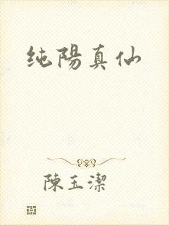 纯阳真仙