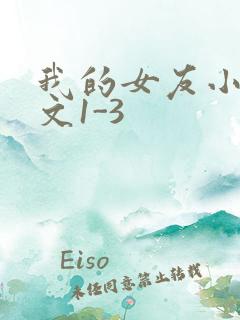 我的女友小洁全文1-3