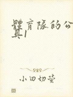 体育队的公用玩具1