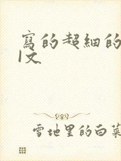 写的超细的DOI文