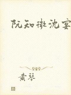 阮知微沈宴电竞