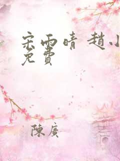 宋雨晴 赵小刚免费