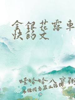 金银花露车速最快的文