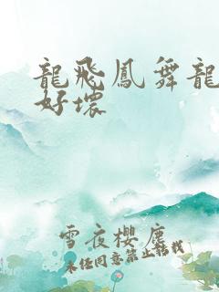 龙飞凤舞龙王你好坏
