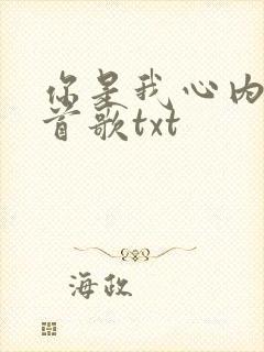 你是我心内的一首歌txt