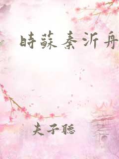 时苏秦沂舟小说