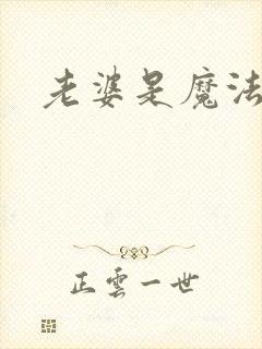 老婆是魔法少女