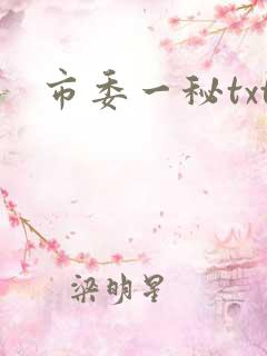 市委一秘txt