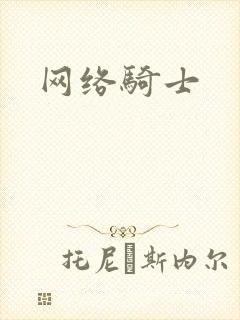 网络骑士