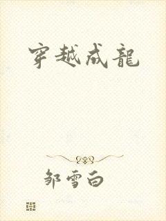 穿越成龙