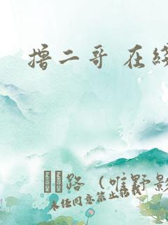 撸二哥 在线
