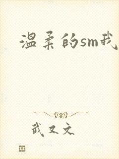 温柔的sm我