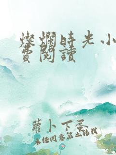 灿烂时光小说免费阅读