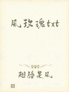 风玫瑰txt