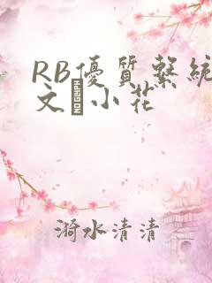 RB优质系统全文寀小花