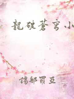 龙破苍穹小说