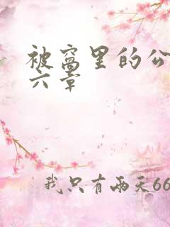被窝里的公息第六章