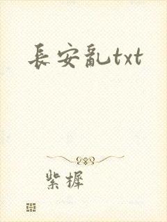 长安乱txt