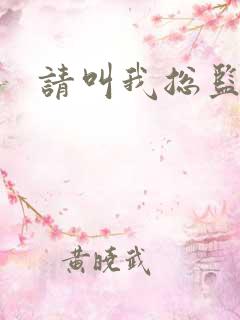 请叫我总监小说