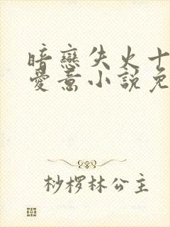 暗恋失火十年的爱意小说免费阅读