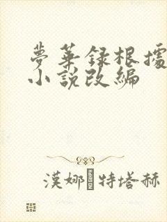 梦华录根据什么小说改编