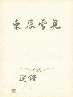 东辰雪见