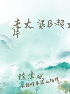 老大婆B超大图片