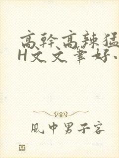 高干高辣猛高辣H文文笔好小说