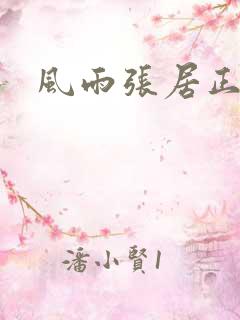 风雨张居正下载